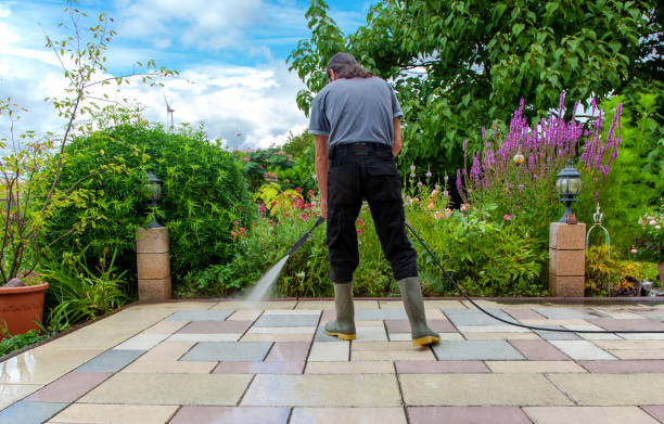 Best Parking Lot and Garage Cleaning  in Luna Pier, MI